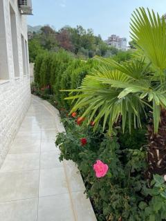 Villa Herceg Novi - Sunny Hill Residences - 9
