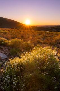 Windy Rose Farmhouse - Barrydale - 6