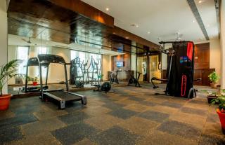 Hotel Grand Meridian Delhi Airport - 1