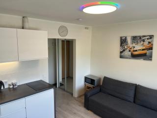 VILNIUS apartment with balcony - 7