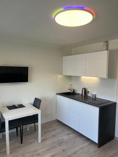 VILNIUS apartment with balcony - 1