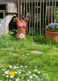 Scheune Landliebe in Holz und Lehm -  - 7