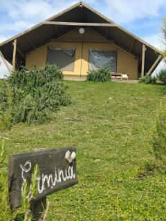 Glamping Grancia - Grosseto - 8
