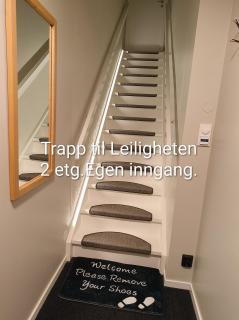 Havgløtt - 1
