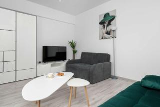 Modern Apartment with Parking in the City Center in Łódź by Noclegi Renters - 4