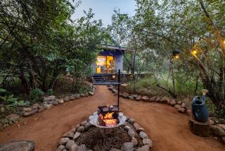 Wildheart Safari - Lion's Den - 3