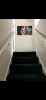 4 Bedroom House in Newry Central - 2