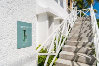 Mont Choisy Lodge - Cactus Apartment - 9