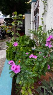 Boutique Bungalow 458 - 9