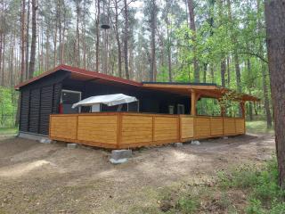 Ferienhaus im Wald Mecklenburgische Seenplatte - 1