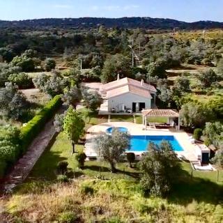 Olive Villa - 0