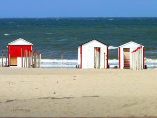 Résidence Estelle - Situé sur digue,face à la mer - 7