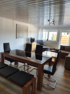 Island Pferdehof Arrisholt Solskin - 5