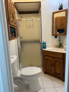 Big Home with Huge Parking WiFi Sleeps 14 - 7