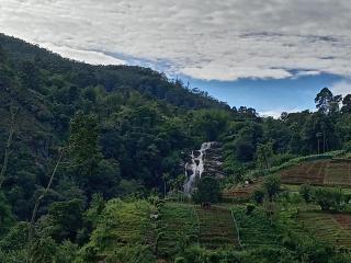cascade view - 0