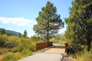 Wolf Rock Home 82 by SummitCove Lodging - Keystone - 5