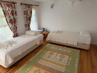 Blue Star Hotel - 9