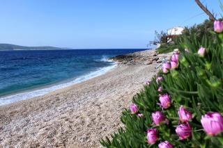Apartments with parking space Zavala, Hvar - 8710 - 9