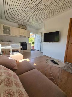 Apartma Sofia - 1