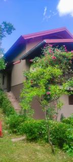 Queen bee's nest - 8