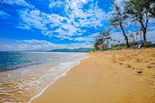 Islander on the Beach 211 - 6