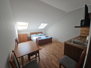 Penzion u Vinice - 5