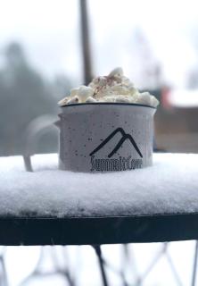 Springs 8829 by SummitCove Lodging - 2