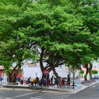 Branco Sea Holiday Apartments - 6