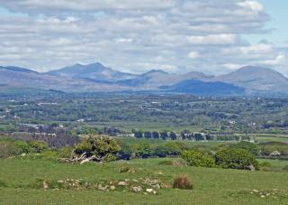 Henllys Bach - 2