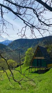 Forest house - ტყის სახლი - 8