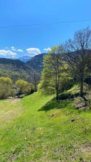 Forest house - ტყის სახლი - 9