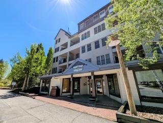 Silver Mill 8226 by SummitCove Lodging - 1