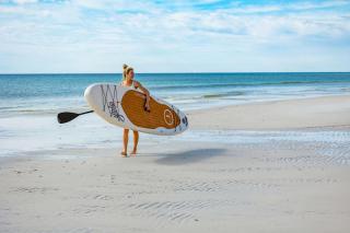 Gray Whale - Destin - 4