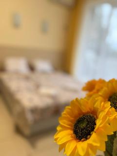 Harmony Hills Tomovi Apartament F22 - 9