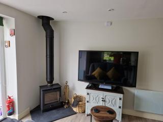 Snug Guest studio in Llanymawddwy, with Valley views - 3