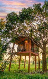 Vercour Tree House Cabana Sigiriya - 0