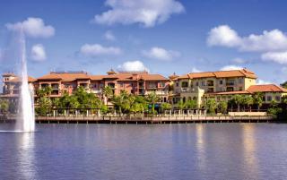 Bonnet Creek Resort 1BR Apartment - 4