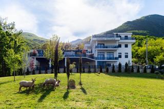 White House Radac Peja - 9