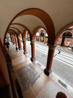 Bologna 29 - 5