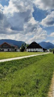 Wolfgangseeblick am Pilznerhof - 4