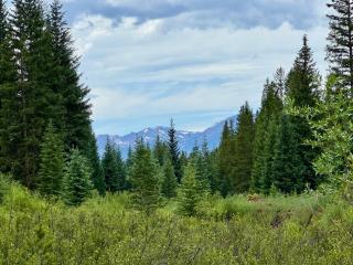 Settlers Creek 6536 by SummitCove Lodging - 2