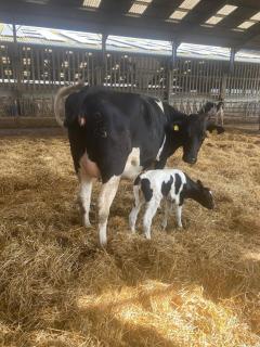 Farm stay - 8