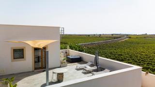 Casale Gorghi Tondi House & Vineyard with Jacuzzi - 9