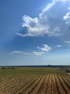 Casale Gorghi Tondi House & Vineyard with Jacuzzi - 2