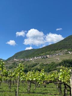 Appartamento Rondine - 9