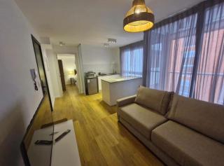 Apartamento centrico de 1 dormitorio 511 - 0