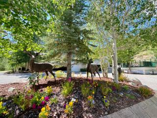 Saints John 2517 by SummitCove Lodging - 6