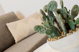 Novus Homes Barcelona Sants - Barcelona - 2