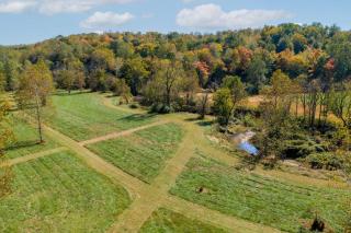 40 Acre - Mechum Hill Guest Cottage - 1