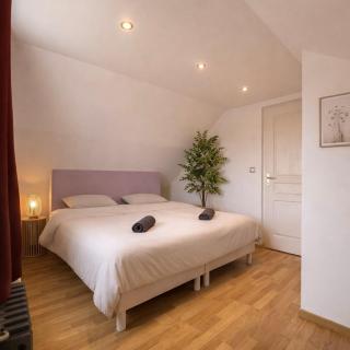 5 bedrooms, 8 people, Quiet house, garden, Reims - 1